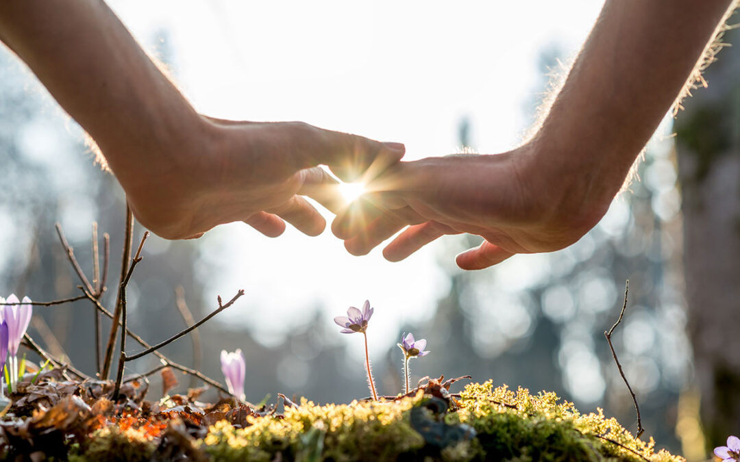 Strengths Before Struggles: A New Way to See Your Child or Youth