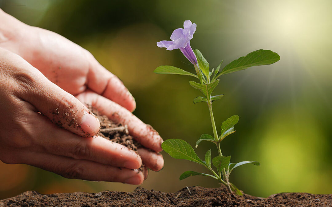 Five Gentle New Year Intentions for Relative Caregivers